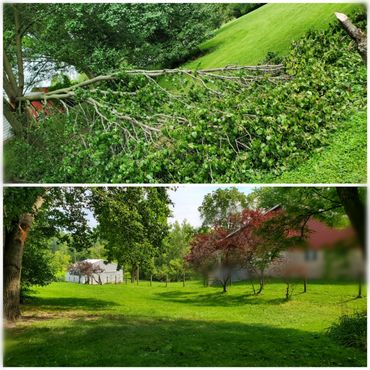 Tree removal in surrounding Indiana counties