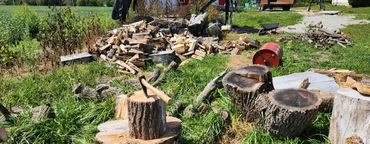 Professional stump grinder at work in Howard County