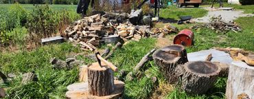 Cutting trees, limbs, logs.