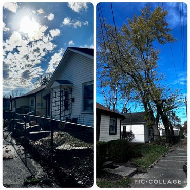 Professional tree removal crew in Bunker Hill