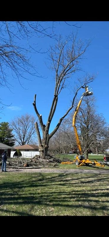 Storm Cleanup Tree Debris Logansport Indiana