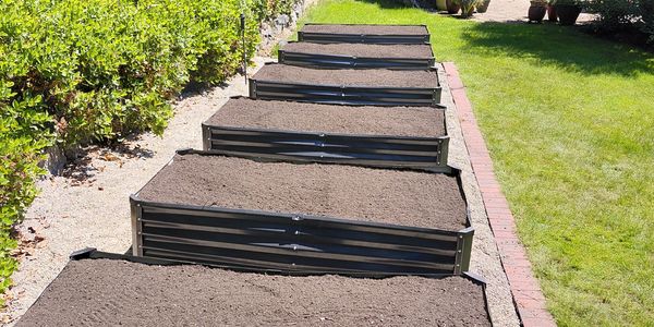 Freshly prepared raised garden beds in a sunny backyard.