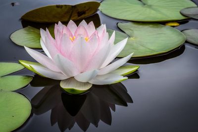 Primordial Sound Meditation