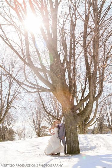 winter wedding photos at Hardy Park in Brockville Ontario by vertigo productions photography studio