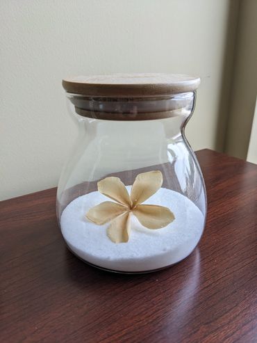 flower in jar