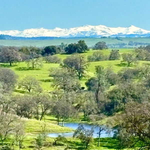 Scenic landscape with green hills and snow-capped mountains.