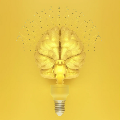 bia pathways connects to neuroscience