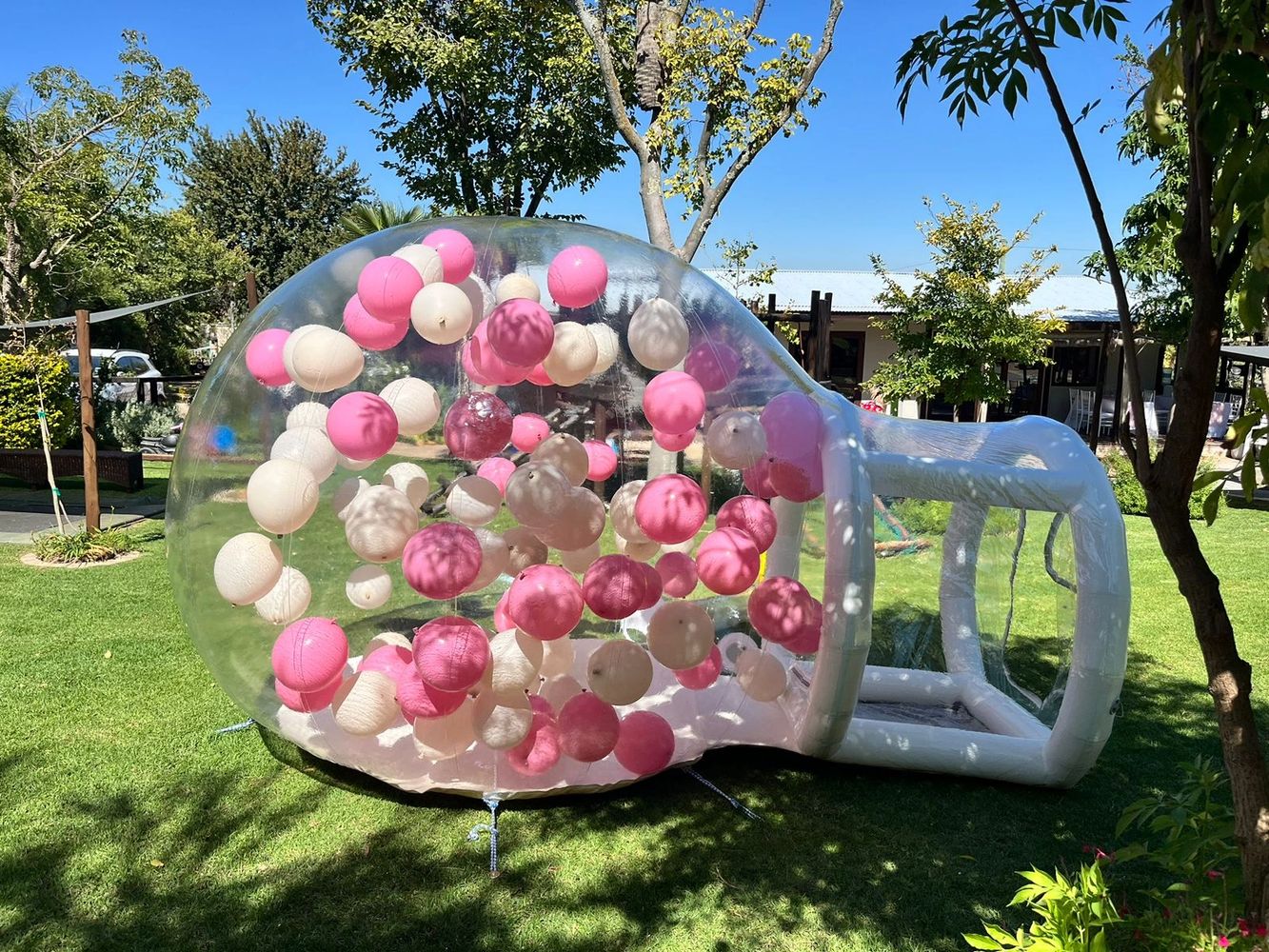 Large transparent inflatable bottle with pink and white balls inside on grass.