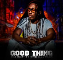 Rigormortiz - Good Thing Feat Breana Marin iTunes Link