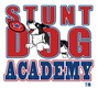 Stunt Dog Academy