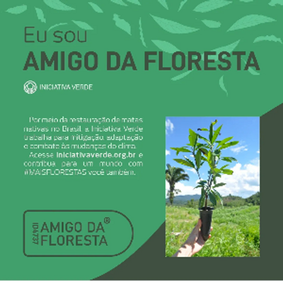 Selo de atestado de amigo da floresta