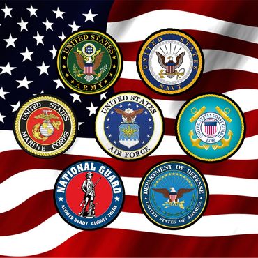 Emblems of U.S. military branches over American flag.
