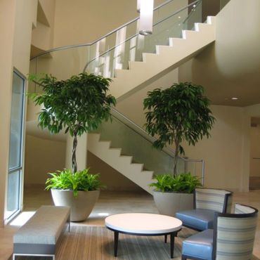 Modern indoor seating area with plants and staircase.