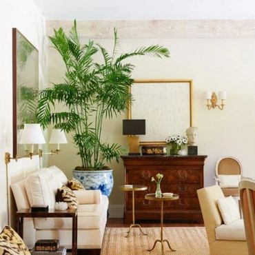 Elegant living room with cream sofas, large potted plant, and antique wooden chest.