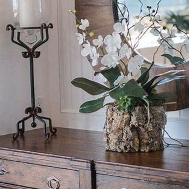 Orchid plant in a rustic bark pot on a wooden dresser with a tall candle holder.