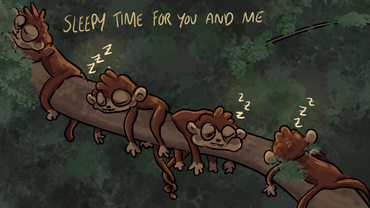 Four monkeys sleeping peacefully on a tree branch.