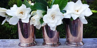 Piedmont Physic Garden