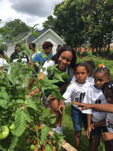 Piedmont Physic Garden