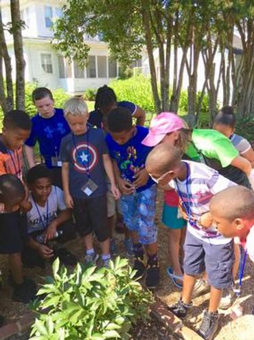 Piedmont Physic Garden