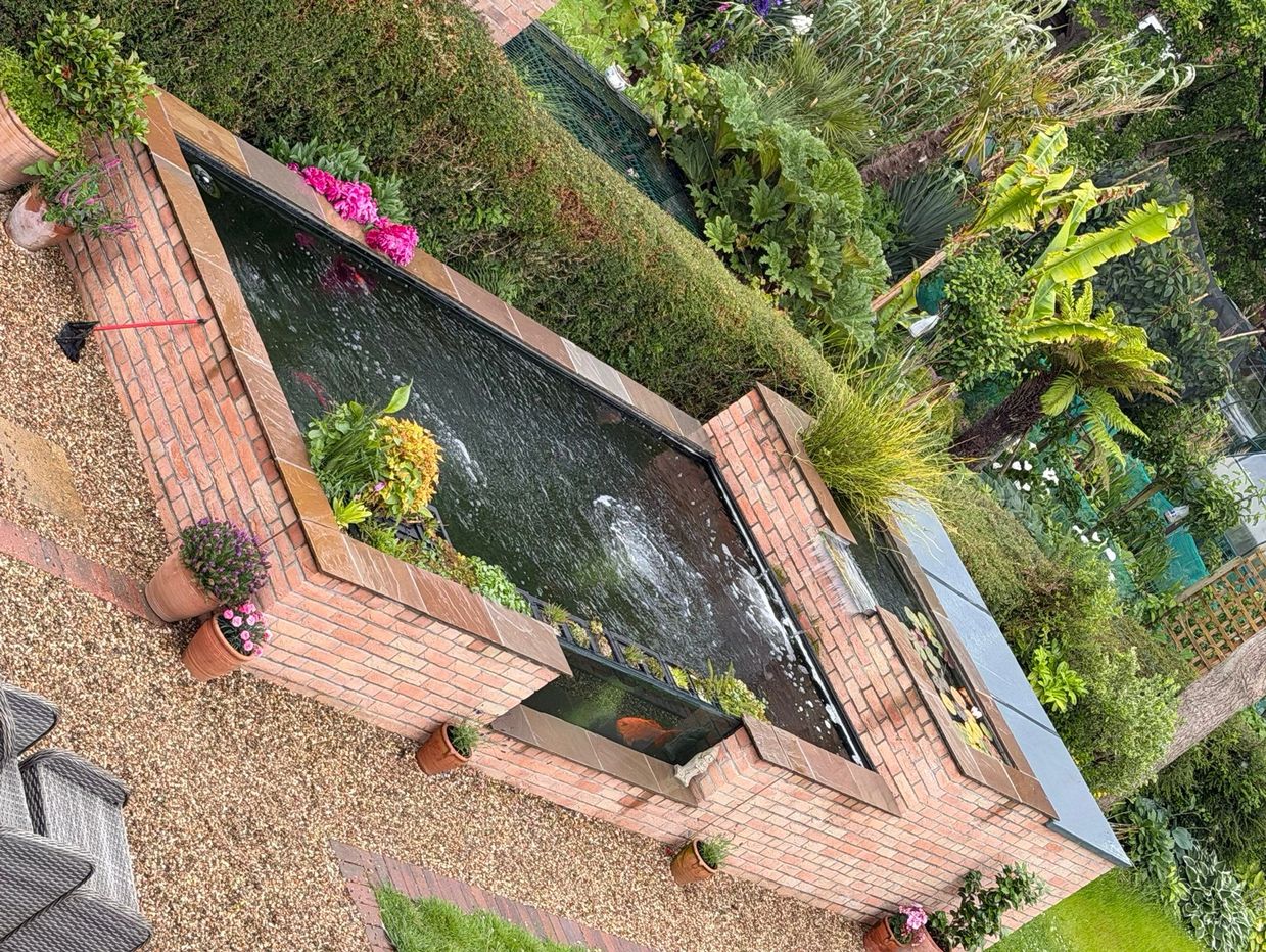 A rectangular brick pond with plants and fish in a lush garden.