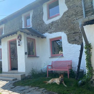 Hund liegt am Eingang von Happys Traumhaus