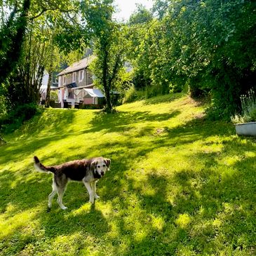 Großer eingezäunter Garten im Ferienhaus Happys Traumhaus
