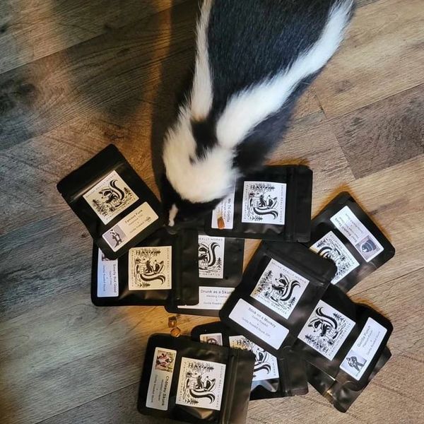 A black and white skunk sniffing various labeled packets on a wooden floor.