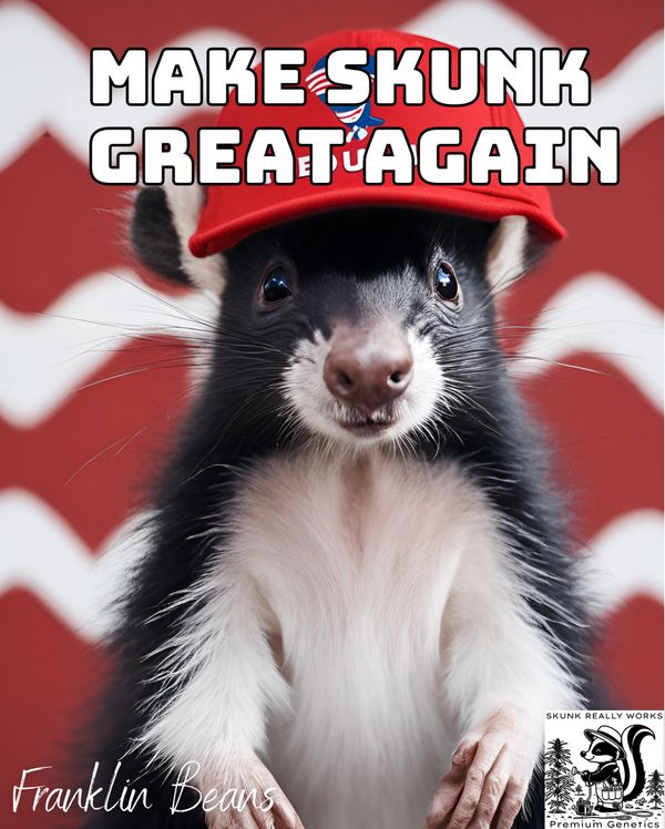 Skunk wearing a red hat with the slogan 'Make Skunk Great Again'.
