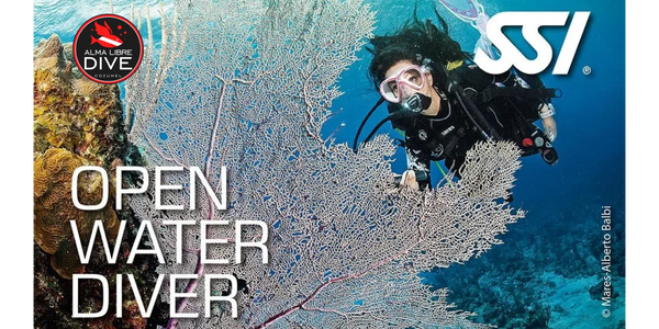 curso open water diver ssi alma libre dive cozumel