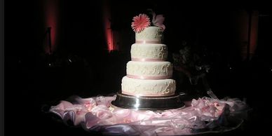cake spot lighting nj.  New Jersey pin lighting wedding cake.
