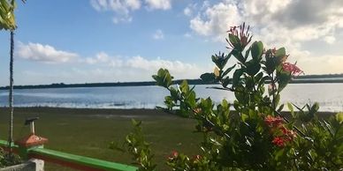 Crooked Tree Wildlife Sanctuary, Belize