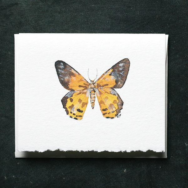 Notecard featuring yellow butterfly watercolour art by Renee Anne  Bouffard-McManus