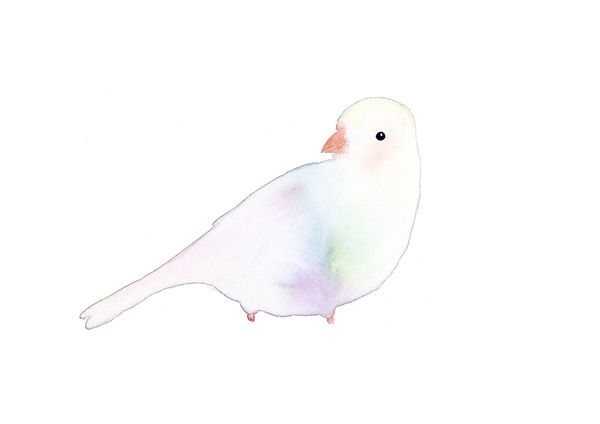 Whimsical green and purple opal coloured bird illustration done in  watercolour by Renée Anne