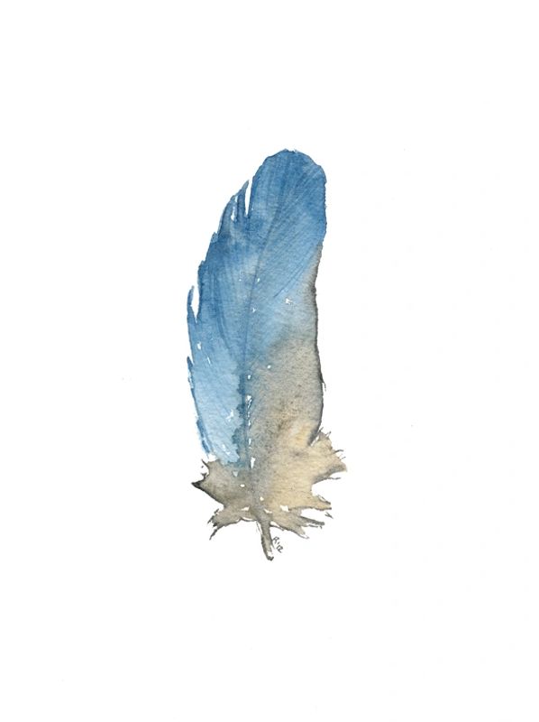 Sky Blue Feather watercolour by Renée Anne Bouffard-McManus