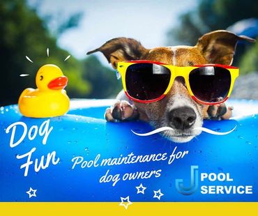 social media content design in Las Vegas