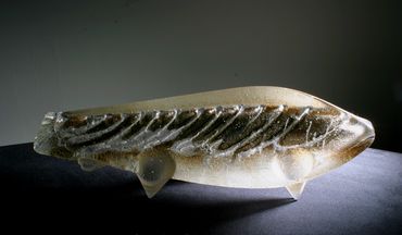 Cast Glass Fish
41 X 12 X 17 cm