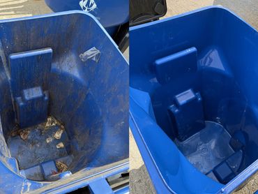 before and after trash bin cleaning