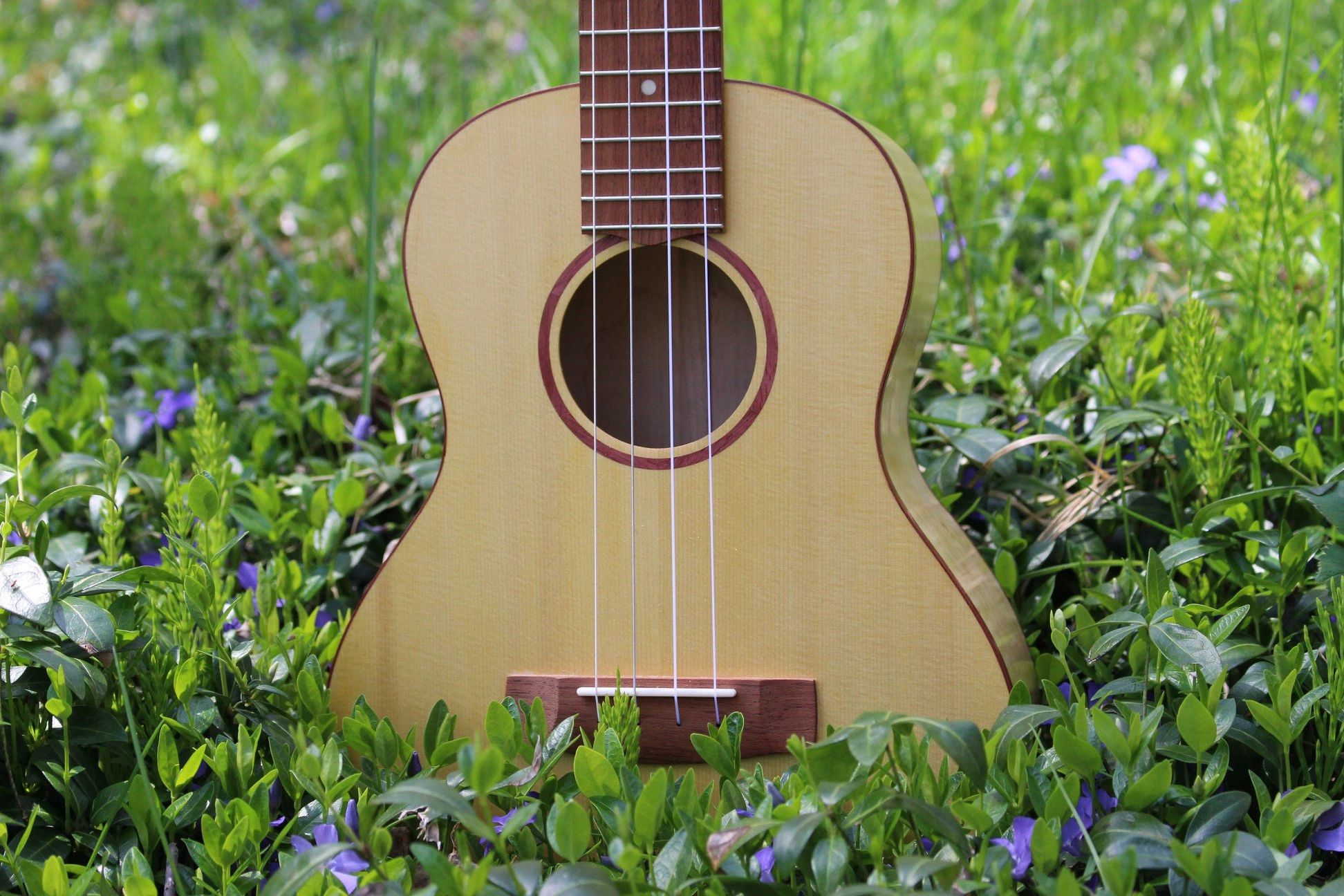 A ukulele resting in green grass with purple flowers.
