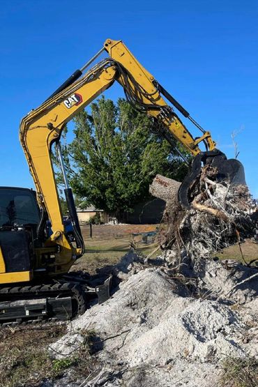 Commercial Brush Removal and Land Clearing Company - Tampa FL, Brandon FL, Plant City FL