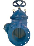 full body gate valve