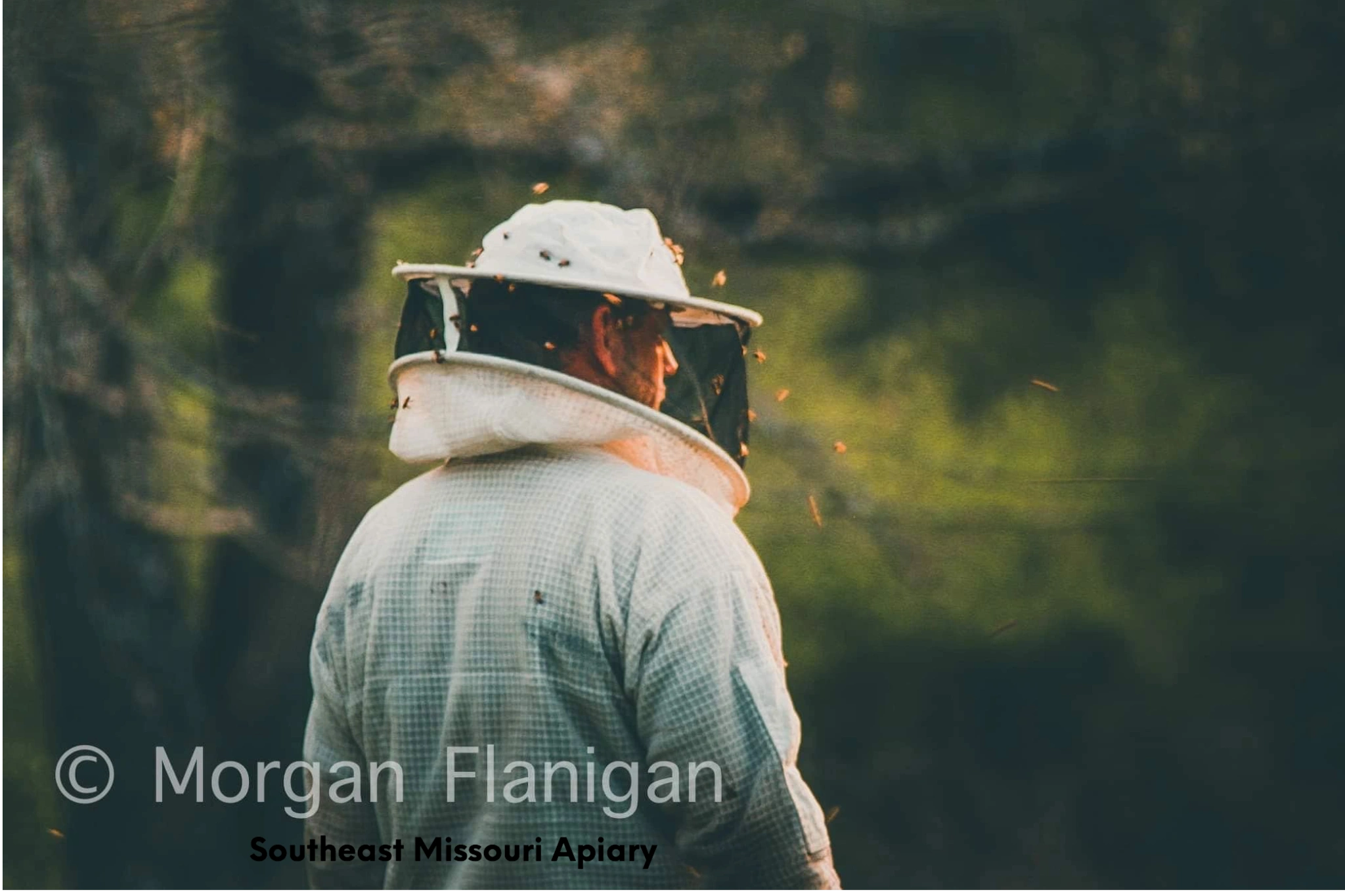 beekeeper