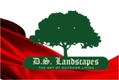 D.S. Landscapes