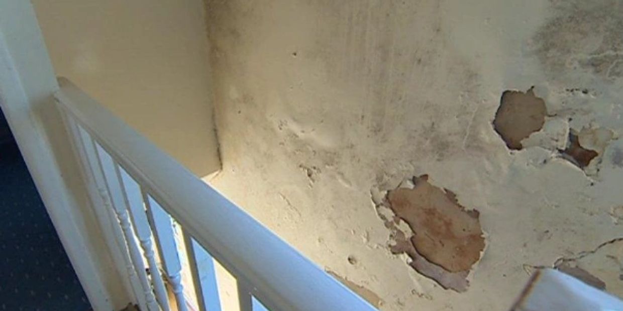 Blown plaster caused by failed cavity wall insulation, #cavitywall, #cavityinsulationremoval,
