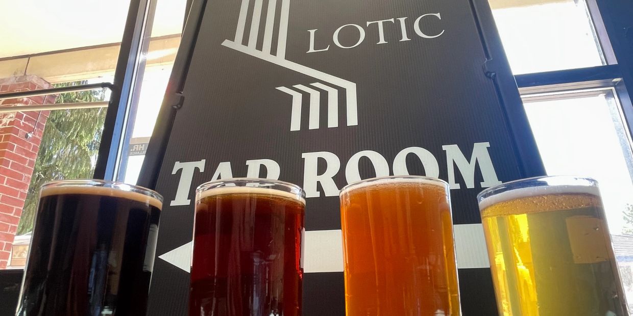 Four glasses of beer lined up in front of Lotic Tap Room sign.