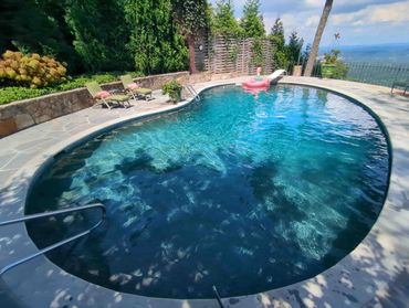 A serene backyard pool with lounge chairs and a flamingo float.
