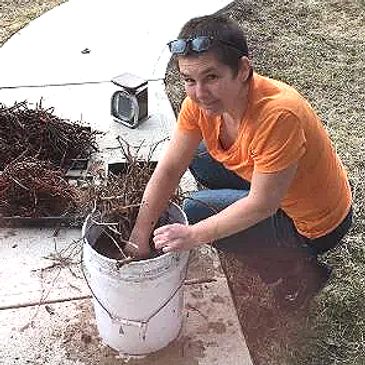 Woman gardening, placing sticks in a white bucket outdoors.