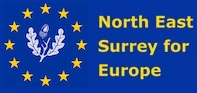 North East Surrey for Europe