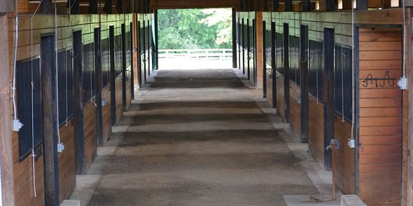 A clean, empty horse stable aisle with wooden stalls on both sides.