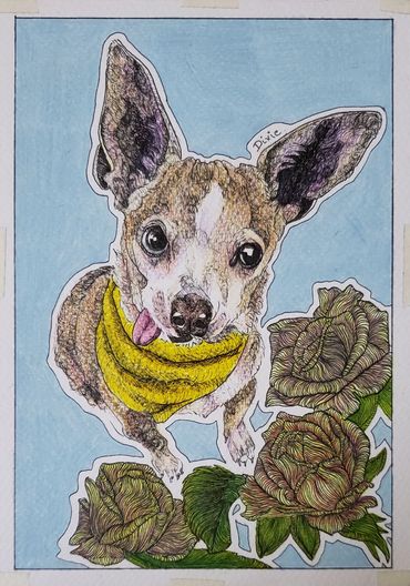 Portrait of a dog with roses