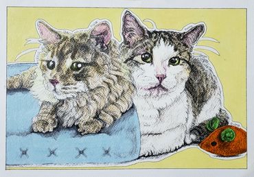 Dual portrait of two cats
